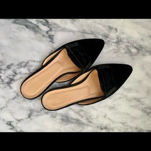 J. Crew Womens Pointed Mules SZ 5.5 Shoes